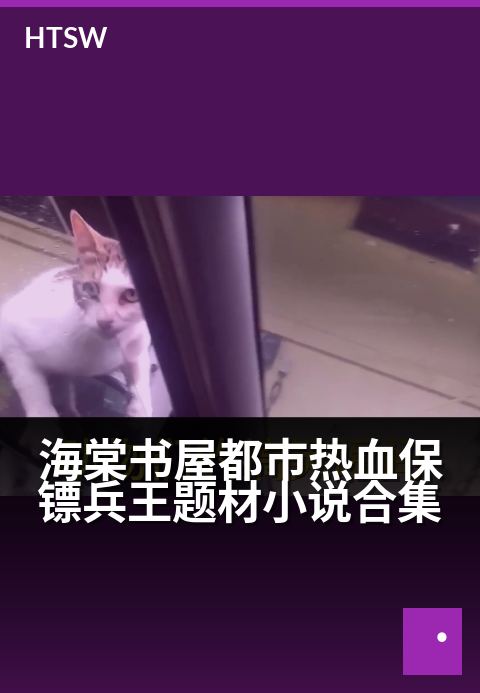海棠书屋都市热血保镖兵王题材小说合集 - 铁血保镖护花都市,兵王归来再战江湖